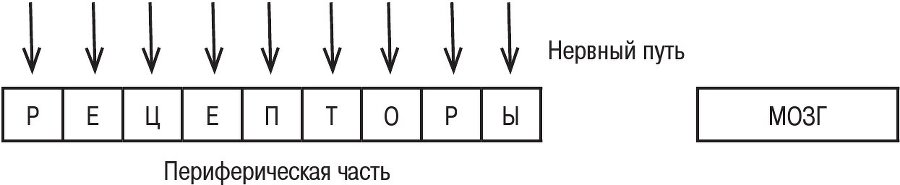 Учение об иллюзиях полета. Основы авиационной делиалогии - b00000634.jpg