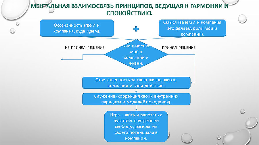 Принципы Самадхи в компании. Книга-тренинг - i_002.jpg