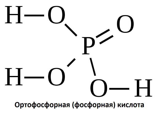 Биология. Биосинтез белка. Полный практический курс для самостоятельной подготовки к заданиям №3 и №27 - _2.jpg