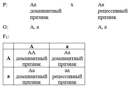 Биология. Генетика. Полный теоретический и практический курс - _5.jpg