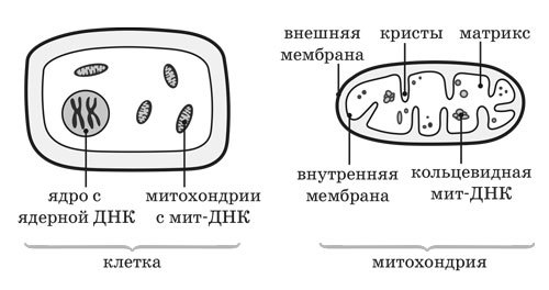 Ииссиидиология. Основы. Том 5 - _1.jpg