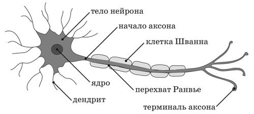 Ииссиидиология. Основы. Том 5 - _6.jpg