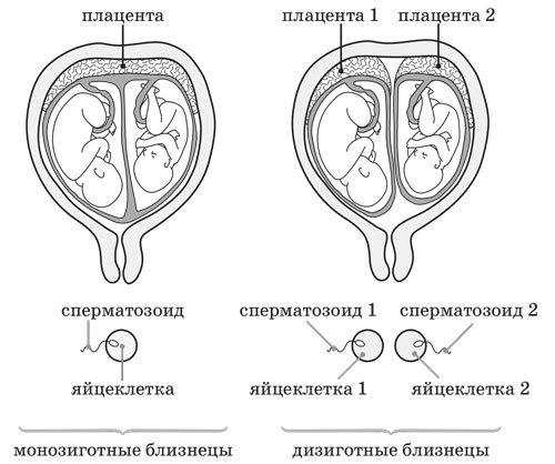 Ииссиидиология. Основы. Том 5 - _9.jpg