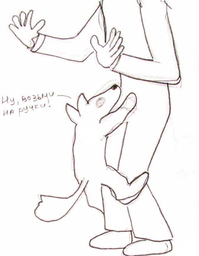 Поздравляем, у вас будет щенок! - _8.jpg