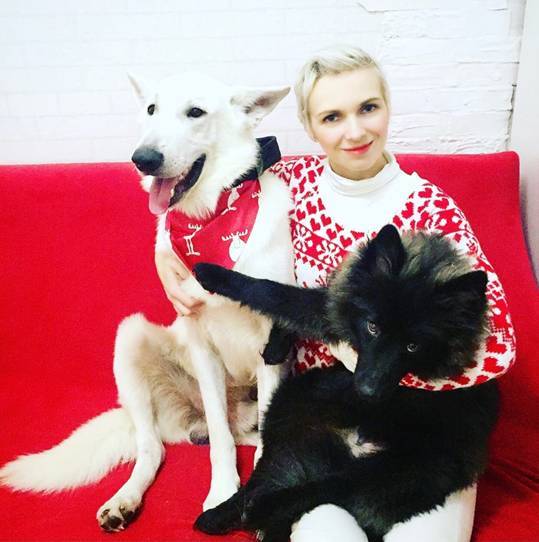 Поздравляем, у вас будет щенок! - _2.jpg