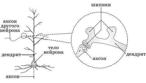 Ииссиидиология. Основы. Том 6 - _0.jpg
