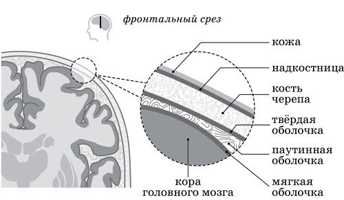 Ииссиидиология. Основы. Том 6 - _1.jpg