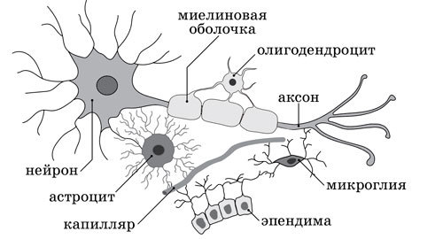 Ииссиидиология. Основы. Том 6 - _5.jpg