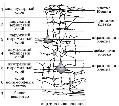 Ииссиидиология. Основы. Том 6 - _6.jpg