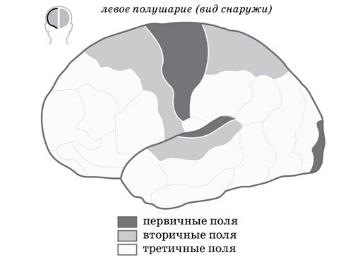 Ииссиидиология. Основы. Том 6 - _7.jpg