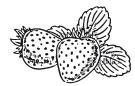 Любимые ягоды в вашем саду: клубника, малина, смородина, облепиха - i_001.jpg