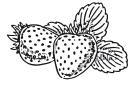 Любимые ягоды в вашем саду: клубника, малина, смородина, облепиха - i_002.jpg