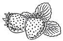 Любимые ягоды в вашем саду: клубника, малина, смородина, облепиха - i_011.jpg