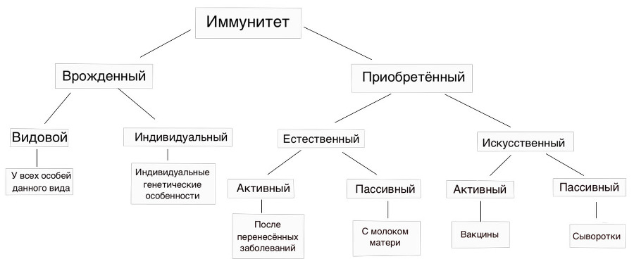 Пандемия: метод сокращения населения Земли - _1.jpg