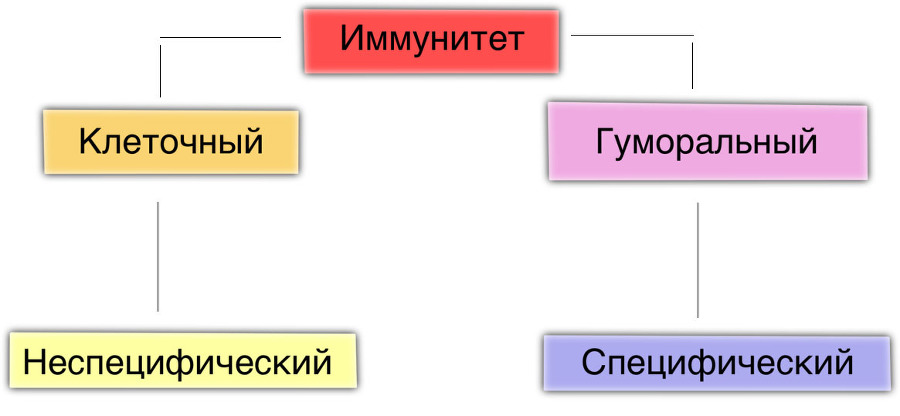 Пандемия: метод сокращения населения Земли - _0.jpg