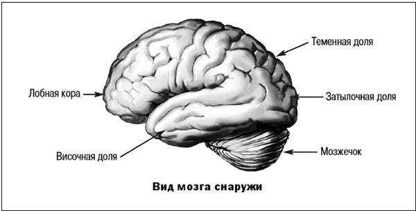 Измени свой мозг – изменится и тело! - i_009.jpg