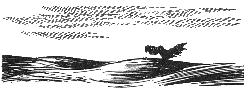 Муми-папа и море - i_008.png