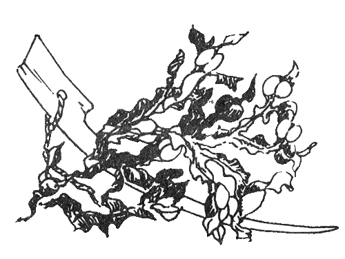 Муми-папа и море - i_020.png