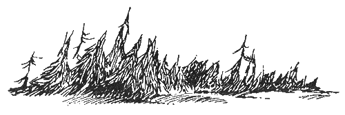 Муми-папа и море - i_021.png