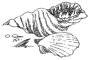 Муми-папа и море - i_028.png