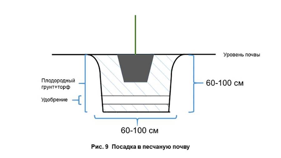 Благоустройство и озеленение: рекомендации к применению - _10.jpg