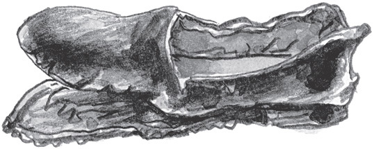 Лёля и Минька. Рассказы для детей - i_013.jpg