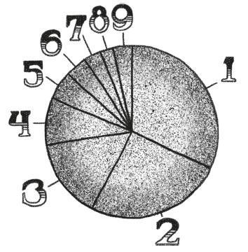 Теорема зонтика, или Искусство правильно смотреть на мир через призму математики - i_002.jpg