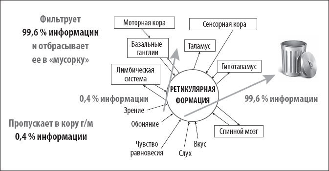 Ген богатства. Создайте новую историю вашей семьи - i_009.jpg