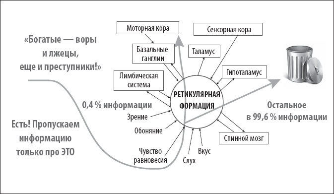 Ген богатства. Создайте новую историю вашей семьи - i_010.jpg