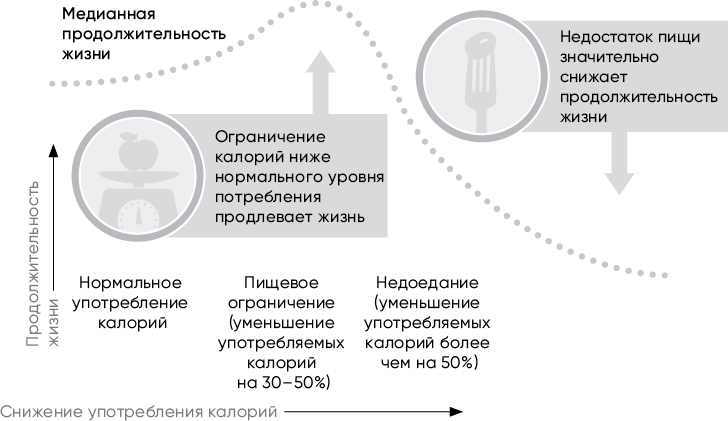 Код долголетия. 12 понятных и доступных способов сохранить здоровье, ясность ума и привлекательность на долгие годы - i_007.png