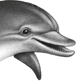 Водный заговор - i_004.jpg