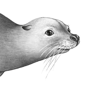 Водный заговор - i_014.jpg