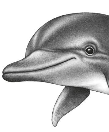 Водный заговор - i_015.jpg