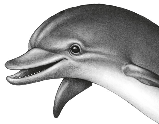 Водный заговор - i_017.jpg