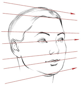Голова человека: как рисовать. Авторская методика из 6 этапов - i_005.jpg