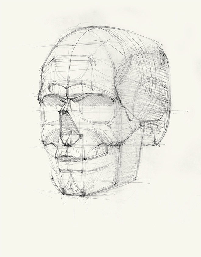 Голова человека: как рисовать. Авторская методика из 6 этапов - i_006.jpg
