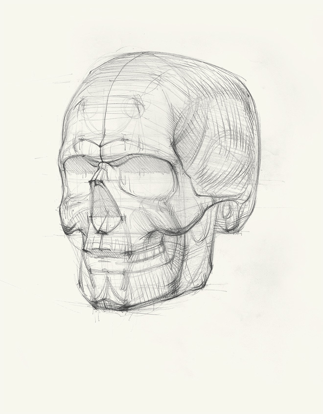 Голова человека: как рисовать. Авторская методика из 6 этапов - i_007.jpg