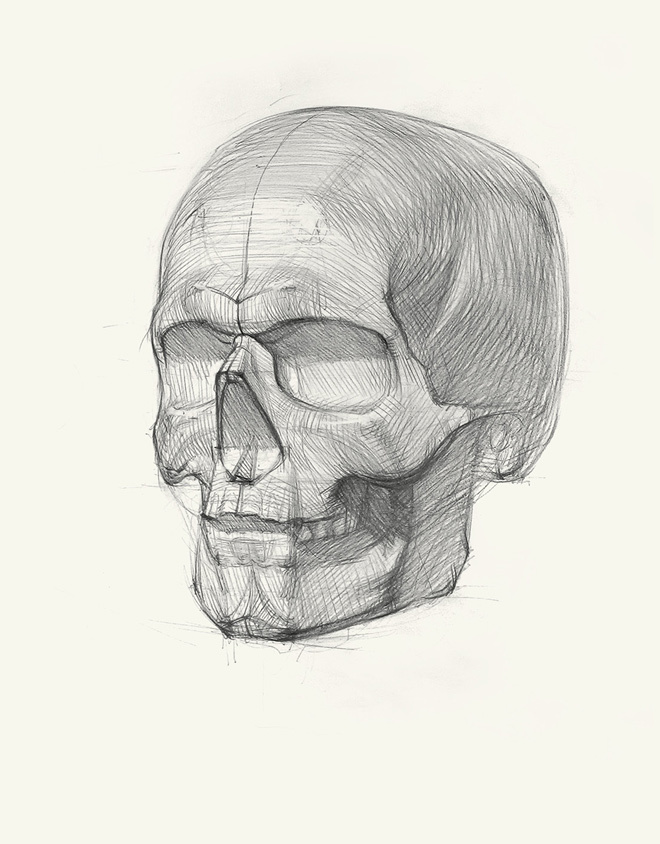 Голова человека: как рисовать. Авторская методика из 6 этапов - i_008.jpg