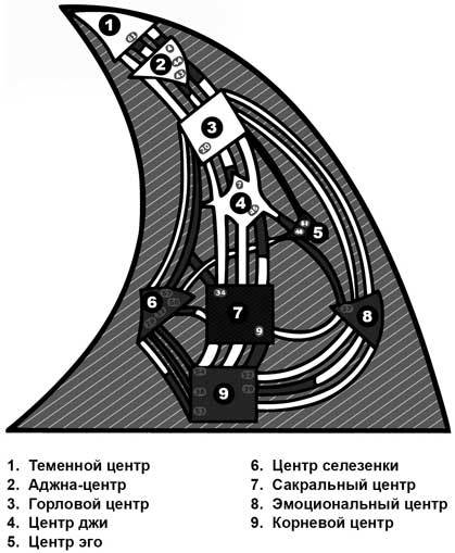 Дизайн человека. Личный эксперимент - i_004.jpg