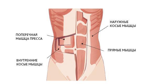 Тейпирование тела. Как избавиться от проблемных зон без спорта и диет - i_008.jpg