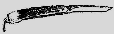 Морской волчонок (с иллюстрациями). Перевод Л. В. Рубинштейн, Н. И. Яньков. - i_009.jpg