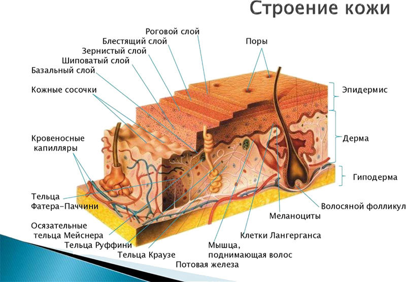 Вкусный аромат денег или как зарабатывать на Spa в маникюре - i_005.jpg