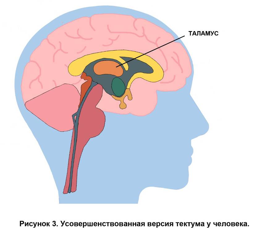 Взлом мышления - _2.jpg