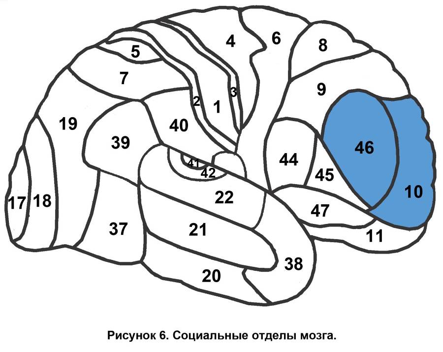 Взлом мышления - _5.jpg