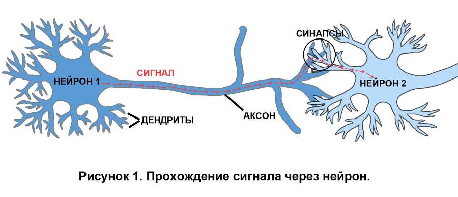 Взлом мышления - _0.jpg