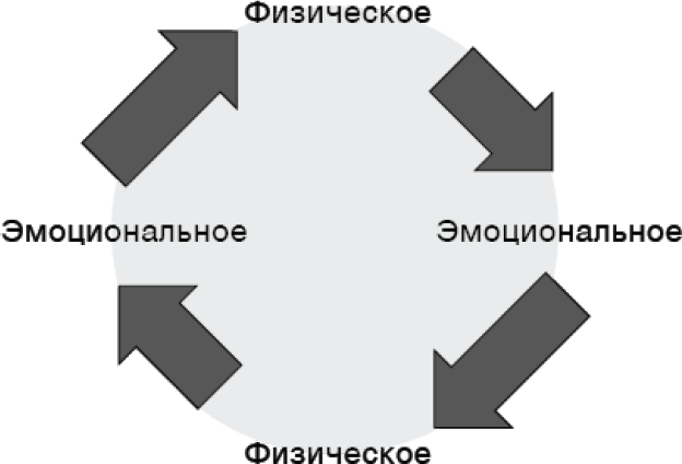 Саморегуляция. Как помочь ребенку (и себе) справляться со стрессом - i_005.png