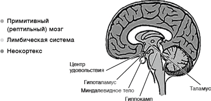 Саморегуляция. Как помочь ребенку (и себе) справляться со стрессом - i_002.png