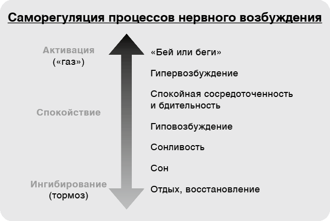 Саморегуляция. Как помочь ребенку (и себе) справляться со стрессом - i_004.png