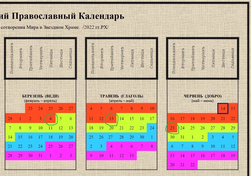 Сорок дней Майя - img_2.jpeg