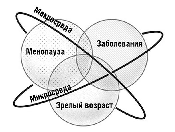 Менопауза. Как оставаться здоровой и сексуальной - i_005.jpg